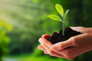 Consultoria Ambiental Um Pilar para a Sustentabilidade Empresarial